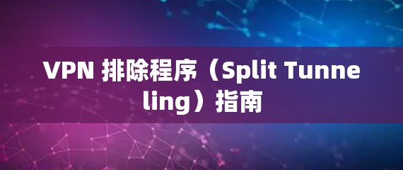 VPN 排除程序（Split Tunneling）指南