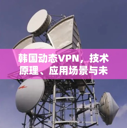 韩国动态VPN，技术原理、应用场景与未来趋势
