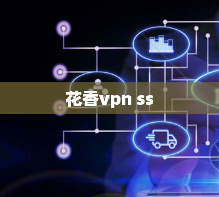 花香vpn ss