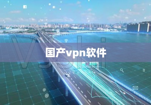 国产vpn软件