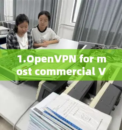 1.OpenVPN for most commercial VPN providers)