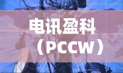 电讯盈科（PCCW）是香港主要的电讯服务提供商之一，旗下确实提供企业VPN（虚拟专用网络）服务，主要面向商业客户，用于安全远程访问、数据传输或连接分支机构。以下是关于电讯盈科VPN的关键信息