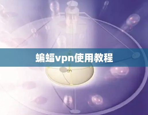 蝙蝠vpn使用教程