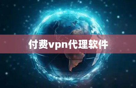 付费vpn代理软件