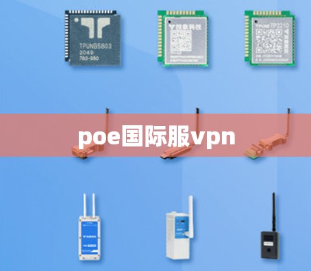 poe国际服vpn