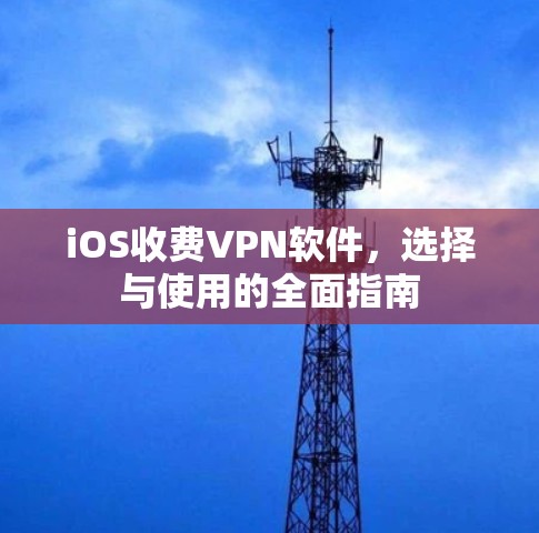 iOS收费VPN软件，选择与使用的全面指南