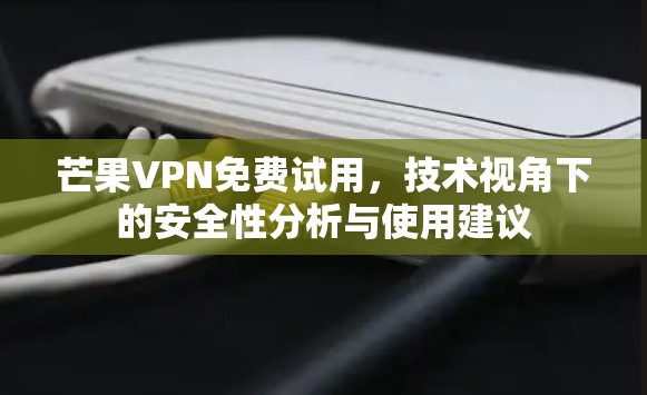 芒果VPN免费试用，技术视角下的安全性分析与使用建议